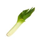 Picture of LEEK EACH