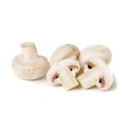 Picture of MUSHROOM CUP PREMIUM KILO