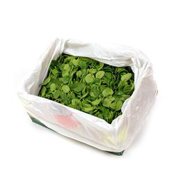 Picture of SPINACH BABY LETTUCE LEAF 1.5 KILO BOX