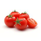 Picture of TOMATO MED/LRG PREMIUM KILO