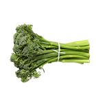 Picture of BROCCOLINI BUNCH
