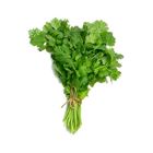 Picture of HERBS CORIANDER BUNCH