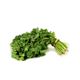 Picture of HERBS CORIANDER MARKET BUNCH (6BUN)