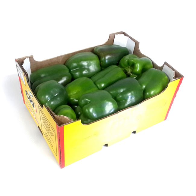 Picture of CAPSICUM GREEN BOX