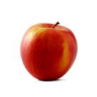 Picture of APPLE FUJI PREMIUM KILO