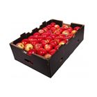 Picture of APPLES PINK LADIES PREMIUM BOX