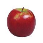 Picture of APPLE SUNDOWNER PREMIUM KILO