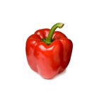 Picture of CAPSICUM RED KILO