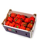 Picture of CAPSICUM RED BOX