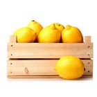 Picture of LEMON SML/MED JUICING BOX
