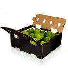 Picture of LIME PREMIUM BOX (55)