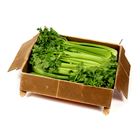 Picture of CELERY BOX (8)