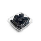 Picture of BERRIES BLACK PUNNET EACH