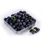 Picture of BERRIES BLUE PUNNET EACH