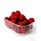 Picture of BERRIES RASP PUNNET EACH