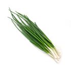 Picture of SHALLOT BUNCH