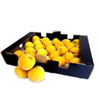 Picture of PEACH GOLDEN QUEEN BOX