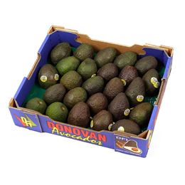Picture of AVOCADO HASS MEDIUM TRAY 25ea