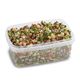 Picture of LENTIL SALAD 900G